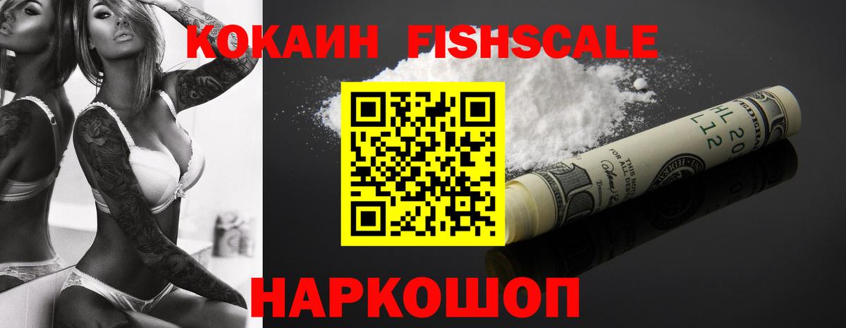 COCAIN Fish Scale  Вход с VPN  COCAIN  Костомукша 