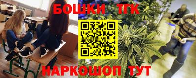 мдпв Кингисепп