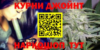 мдпв Кингисепп