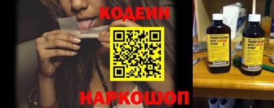 мдпв Кингисепп