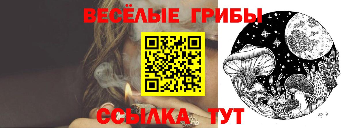 Псилоцибиновые грибы прущие грибы Костомукша